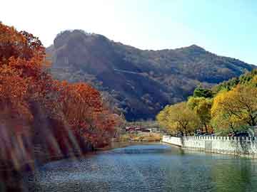 新澳门期期准精准，茅山鬼道